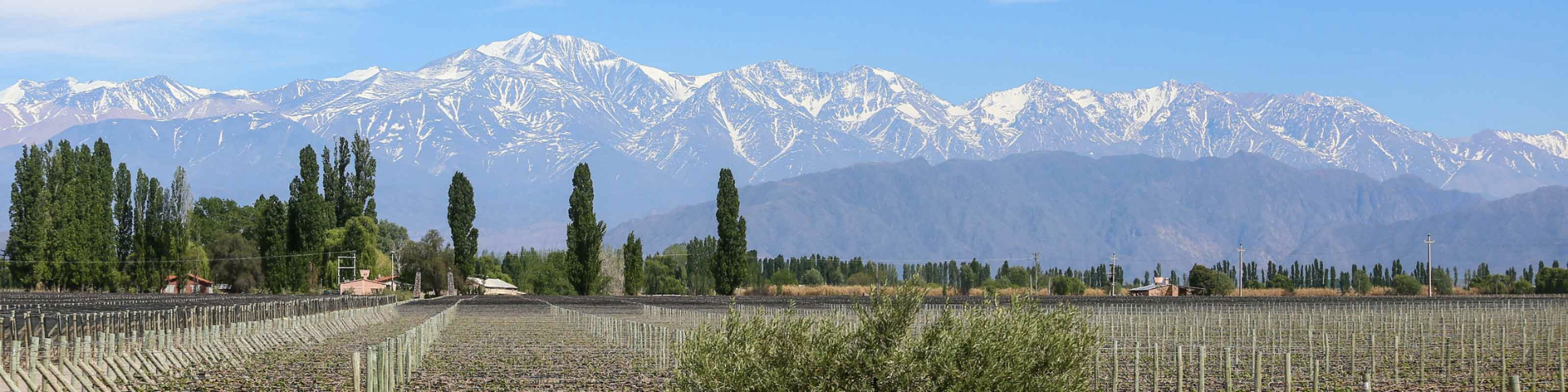 Mendoza